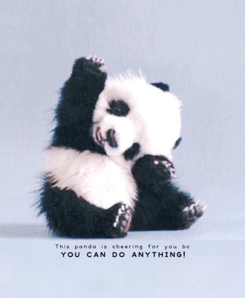 tumblr_o0ejoktVY91u80xalo1_500