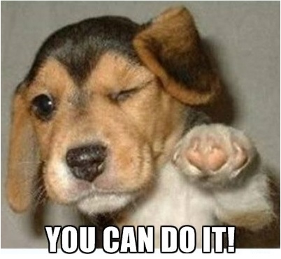 YouCanDoItPuppy