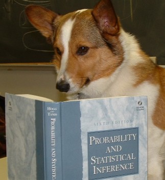 Copy-of-Dog-Math-1